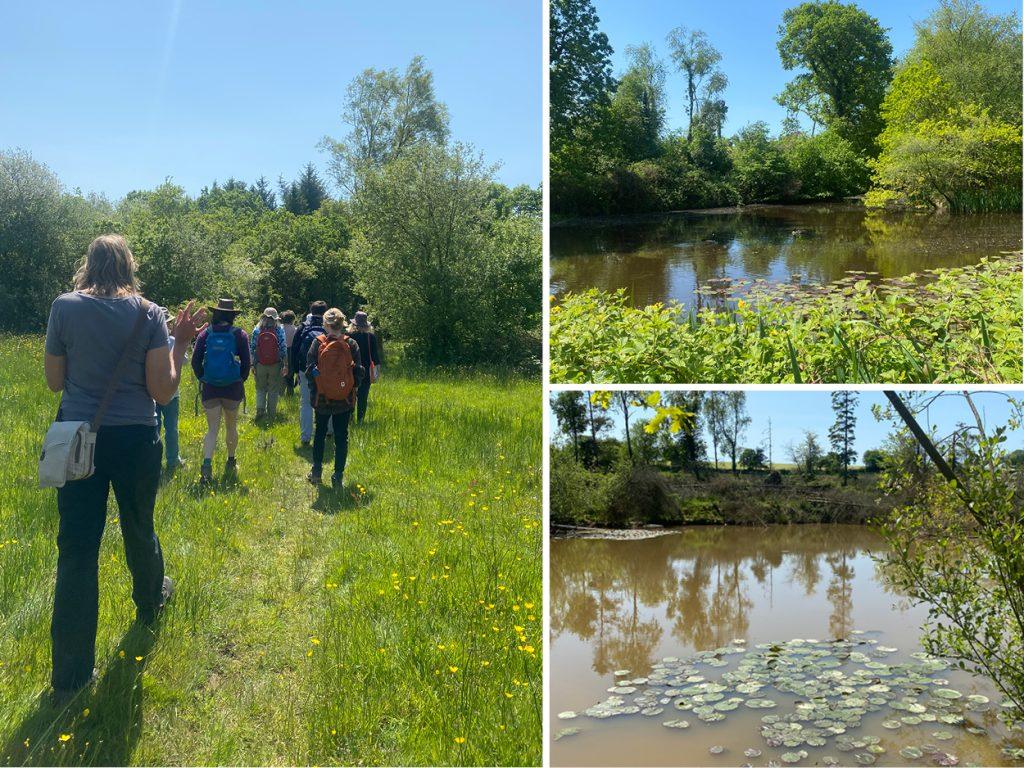 A group of walkers discover the rewilding project at Broadridge farm near Witheridge, north Devon