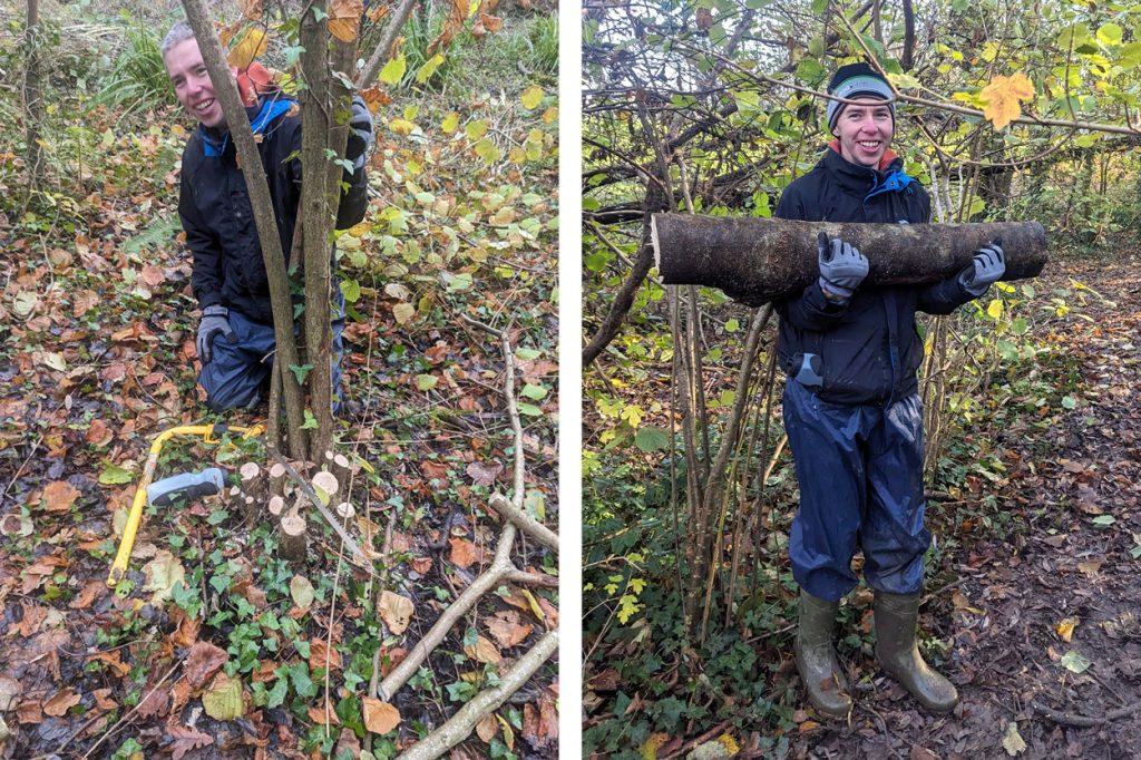 Jay from team Turnstyle Designs, cuts down a hazel tree on the Kenwith reserve in North Devon to help conservation efforts to re-wild the area. Two images, one of him sawing the wood, the other of him carrying it away.