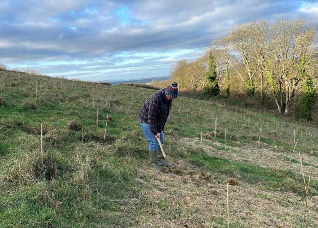 Turnstyle Designs Planting the future at Yeo Valley community woodland ...