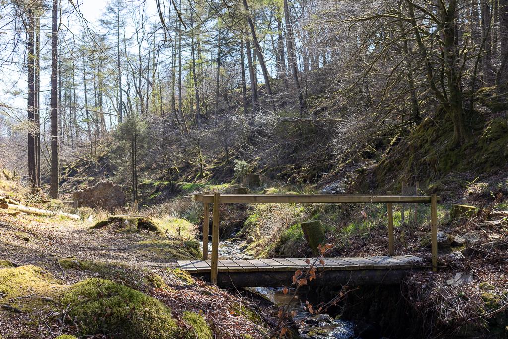 Tall trees in a verge with a wooden rbidge over a small running stream. Deep in the heart of Exmoor National park, Ashcombe Gardens is a local project run by volunteers.