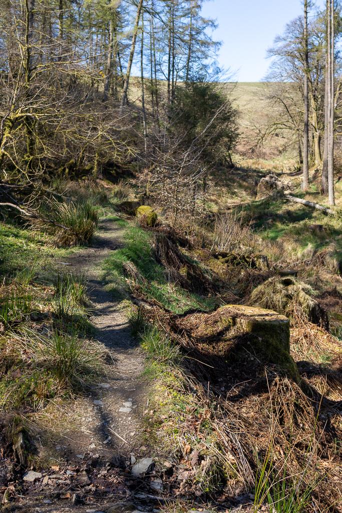 A picturesque image of Exmoor National Park in Simonsbath.
